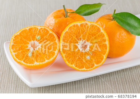 Kishu成熟的Ponkan Kishu成熟的Ponkan 68378194