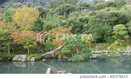 Autumn Garden 68378633