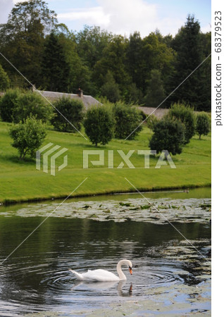 英格蘭，彼得羅霍利，布萊爾城堡，大力神花園 68379523