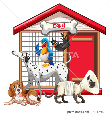 Dog cage with animal group cartoon isolated Dog cage with animal group cartoon isolated 68379699