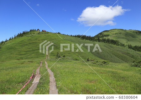 會津小岳（夏季） 68380604