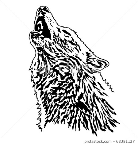 A large white wolf. A large white wolf. 68381127