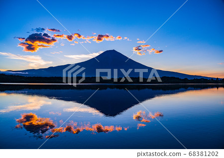 [靜岡縣]狸貓湖，黎明時倒置的富士山 68381202