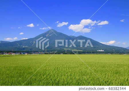 稻田和萬代山（福島縣豬苗代町） 68382344