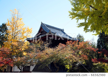 Tohokeizan Eiho-ji寺（岐阜縣多見市）的秋葉 68382980