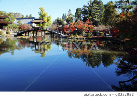 Tohokeizan Eiho-ji寺（岐阜縣多見市）的秋葉 68382988