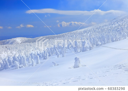 [Yamagata] Zao rime groups under clear skies 68383298