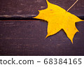 autumn, leaf, fall 68384165