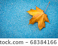 autumn, leaf, maple 68384166