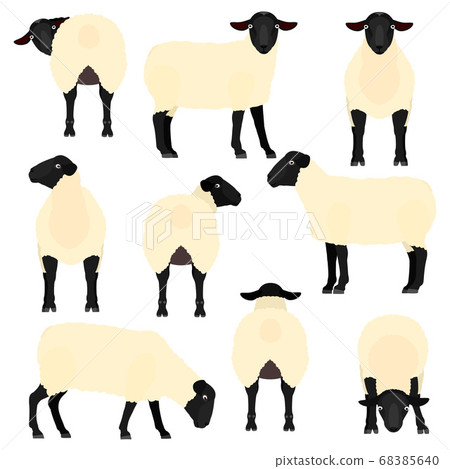 羊姿勢套 68385640