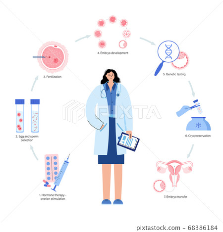 Human fertility vector Human fertility vector 68386184