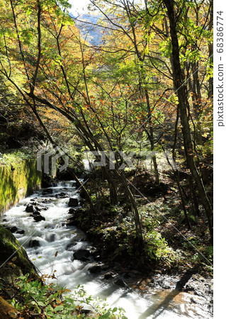 鹿沼谷山溪秋天 鹿沼谷山溪秋天 68386774
