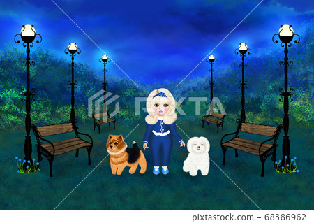 Blonde girl walks two dogs in a beautiful night 68386962