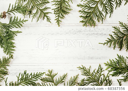 spruce branches , green branches of thuja  on a 68387356