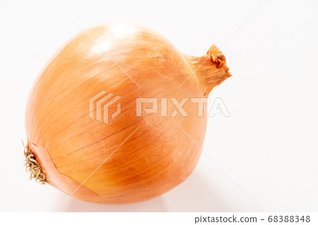 Onions (white background). 68388348