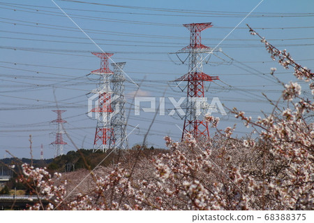 Electric wires and steel towers (transmission lines) for carrying electricity Sakura Electric wires and steel towers (transmission lines) for carrying electricity Sakura 68388375