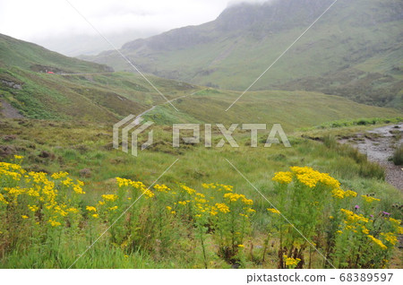 United Kingdom, Glencoe, Western Valley, Harry Potter 68389597