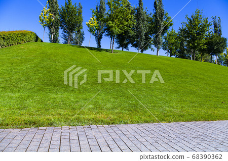 Walkway, lawn and trees in the park 68390362