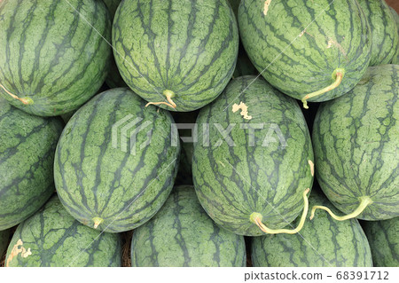 Torpedo watermelon Torpedo watermelon 68391712