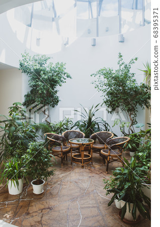 Wicker rattan furniture surrounded by green plants Wicker rattan furniture surrounded by green plants 68395371