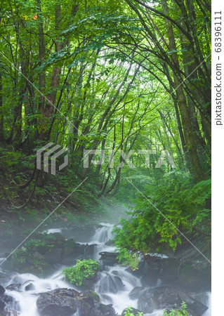 Fresh green and Asagiri Koshimizu waterfall Gunma Prefecture 68396111