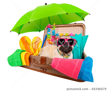 summer vacation dog in bag full of holiday items 68396879