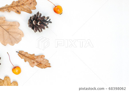 Frame made of autumn leaves, acorn, pine cones on 68398062