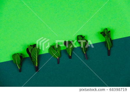 Mint leaves on a beautiful green background 68398719