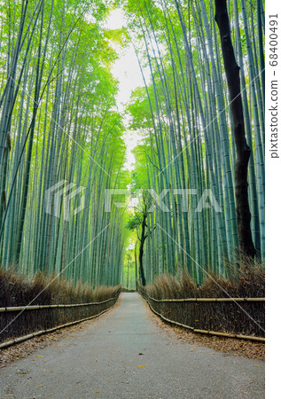 Bamboo forest road in Kyoto 68400491