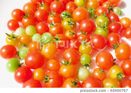 Micro Tomato 68400767