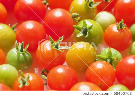 Micro Tomato 68400768