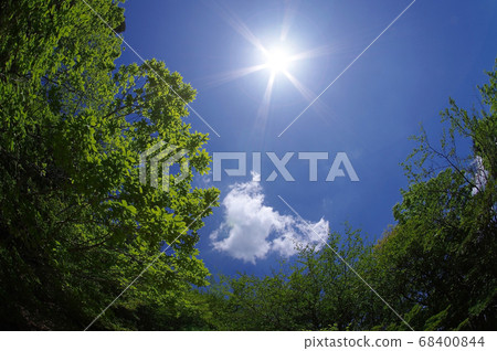 背景材料 夏日的陽光 照片素材 圖片 圖庫