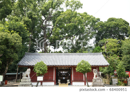 櫻井神社Haiden 68400951