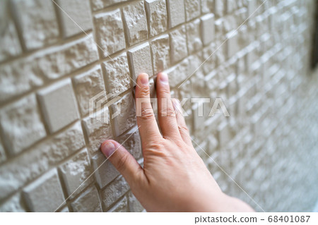 Outer wall inspection 68401087