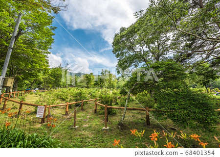 Nagano Prefecture Jibasaka Kogen 68401354