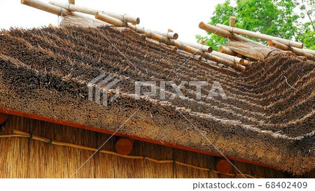 白老阿伊努人 68402409