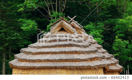 白老阿伊努人 68402413