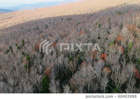 Tohoku Hakkoda Ropeway Autumn leaves 68403998