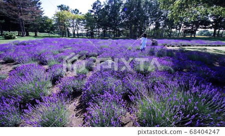 人吉高岡天文台和薰衣草花園 人吉高岡天文台和薰衣草花園 68404247