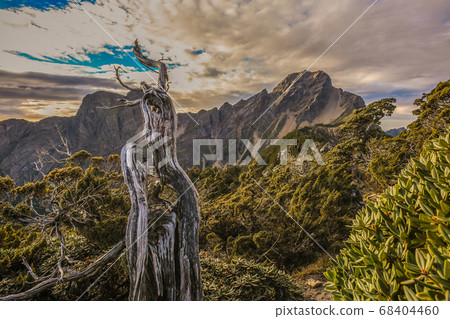 Taiwan Baiyue-Yushan North Peak, overlooking the main peak of Yushan Sunrise and Dongpu Valley Taiwan Baiyue-Yushan North Peak, overlooking the main peak of Yushan Sunrise and Dongpu Valley 68404460