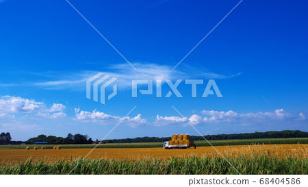 Grass roll harvesting work 68404586
