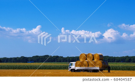Grass roll harvesting work Grass roll harvesting work 68404587