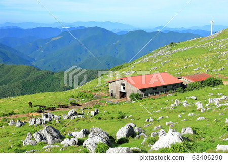 Midsummer Shikoku Karst Midsummer Shikoku Karst 68406290