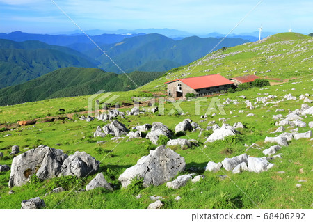 Midsummer Shikoku Karst 68406292