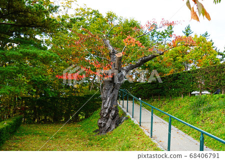 北海道函館特拉皮斯汀修道院 北海道函館特拉皮斯汀修道院 68406791