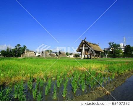 <托羅遺址>高蹺倉庫 68407282