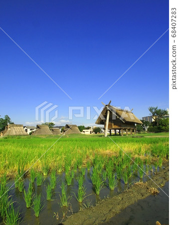 <托羅遺址>高蹺倉庫 68407283