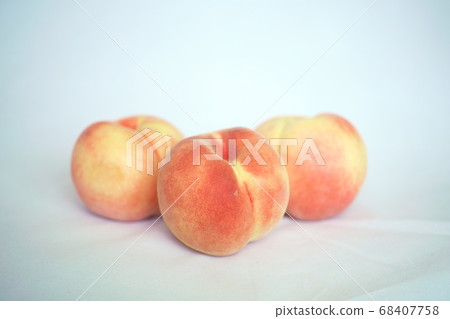 Delicious miss speech 68407758