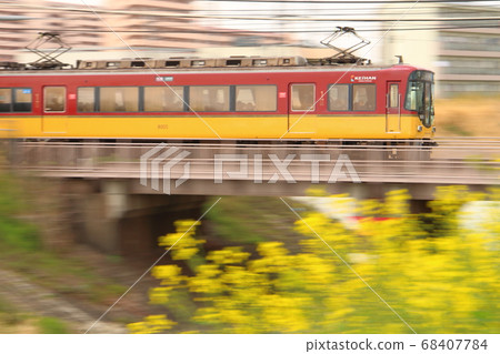 春季攝影，油菜花和京阪電車，特快8000系列平移拍攝 68407784