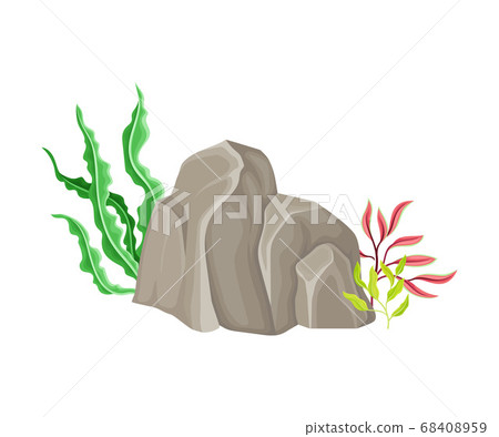 Angulated Sea Stone or Subsurface Rock with Seaweeds and Algae Vector Composition 68408959